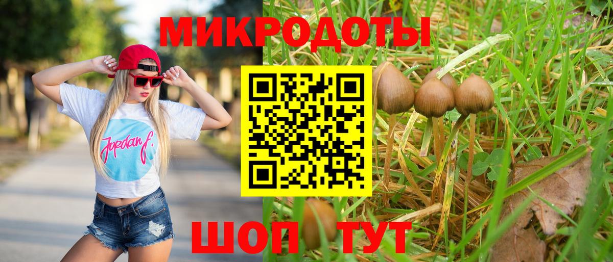 Галлюциногенные грибы Cubensis  Вход с VPN  Бердск 