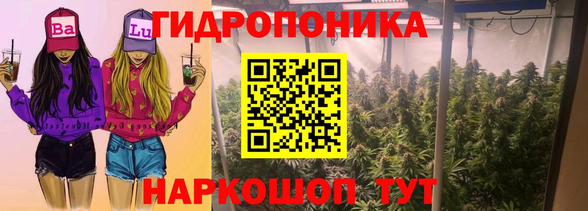 Марихуана OG Kush Бердск